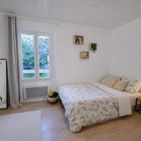 Large, Bright Close To The Old Town Apartment